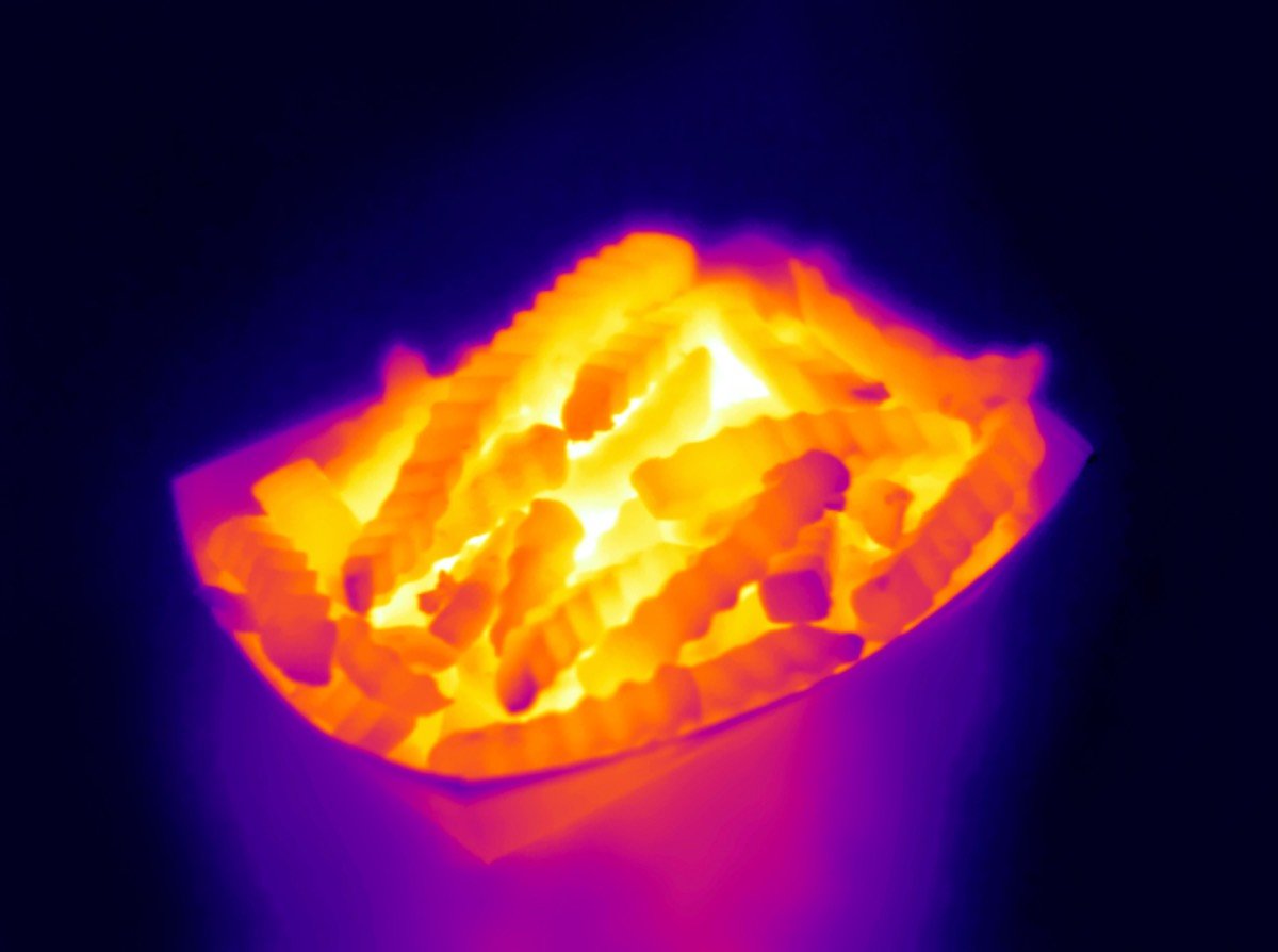 Thermographic Fries