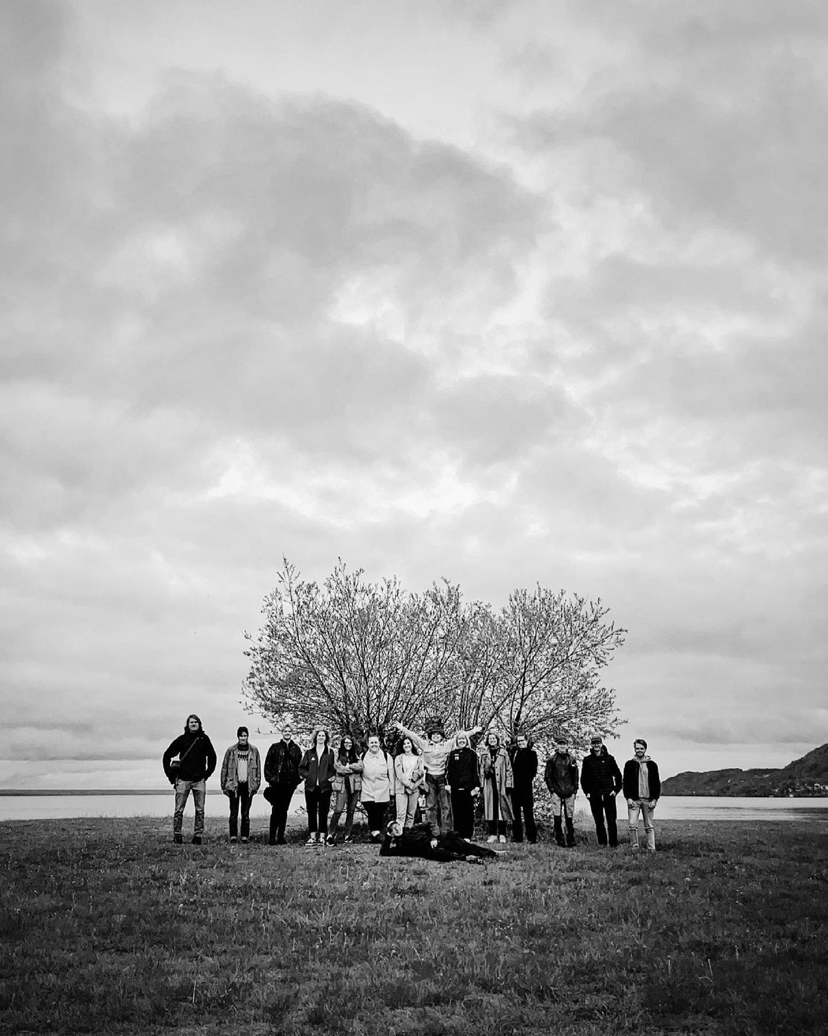 photo of a group of people gathered in front of a tree that looks like a bush
