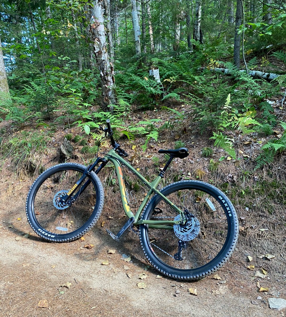 a green mountain bike laying next to a trail