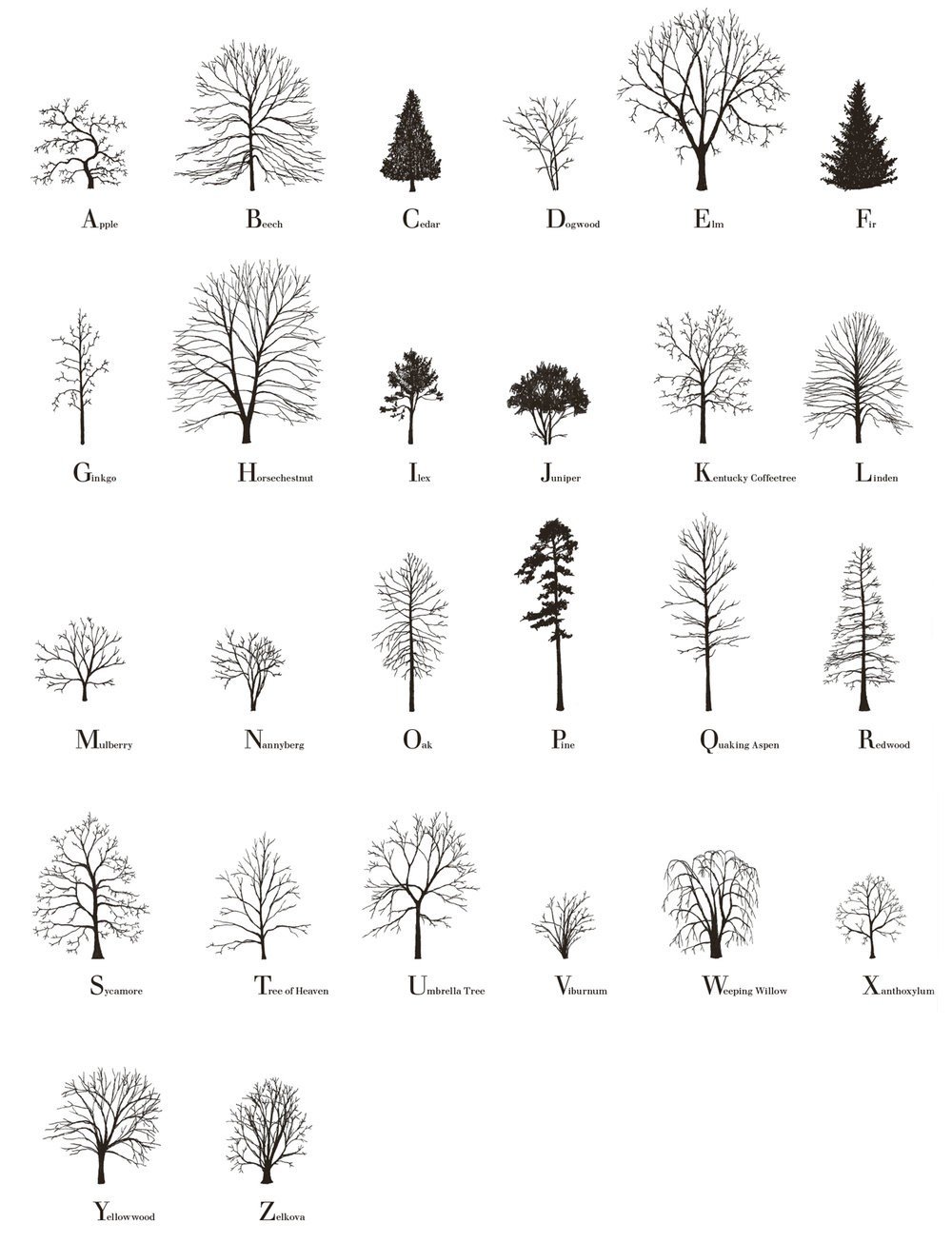 Tree Alphabet