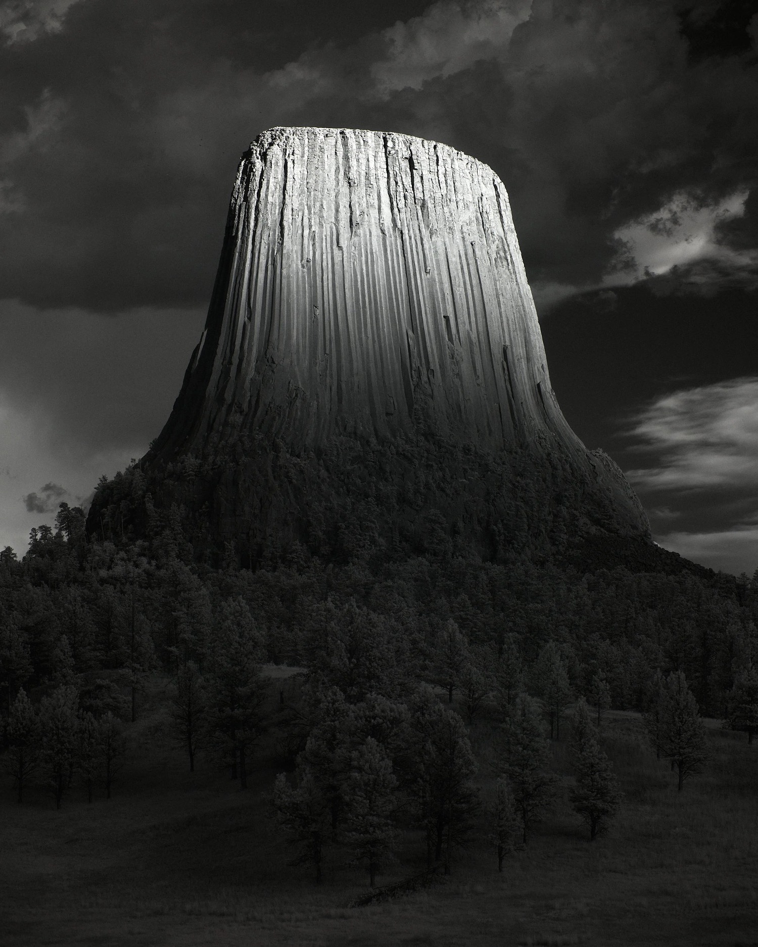 The Earth in the Sky