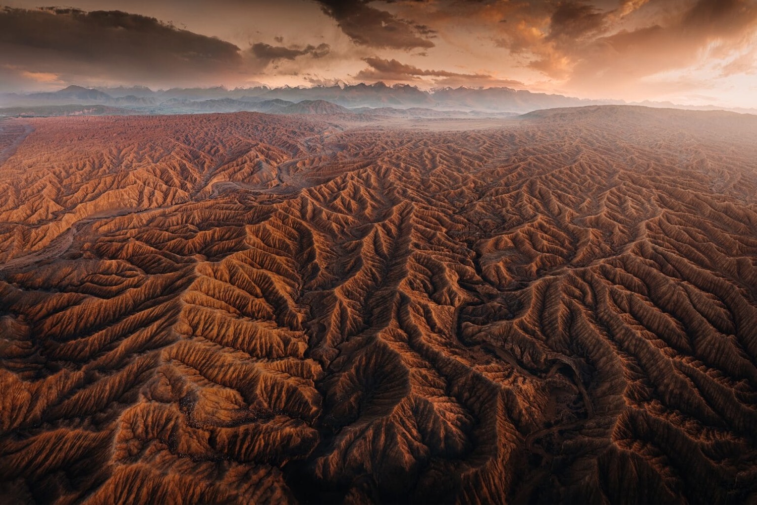 The Best Shots From the 2026 Aerial Photographer of the Year Contest