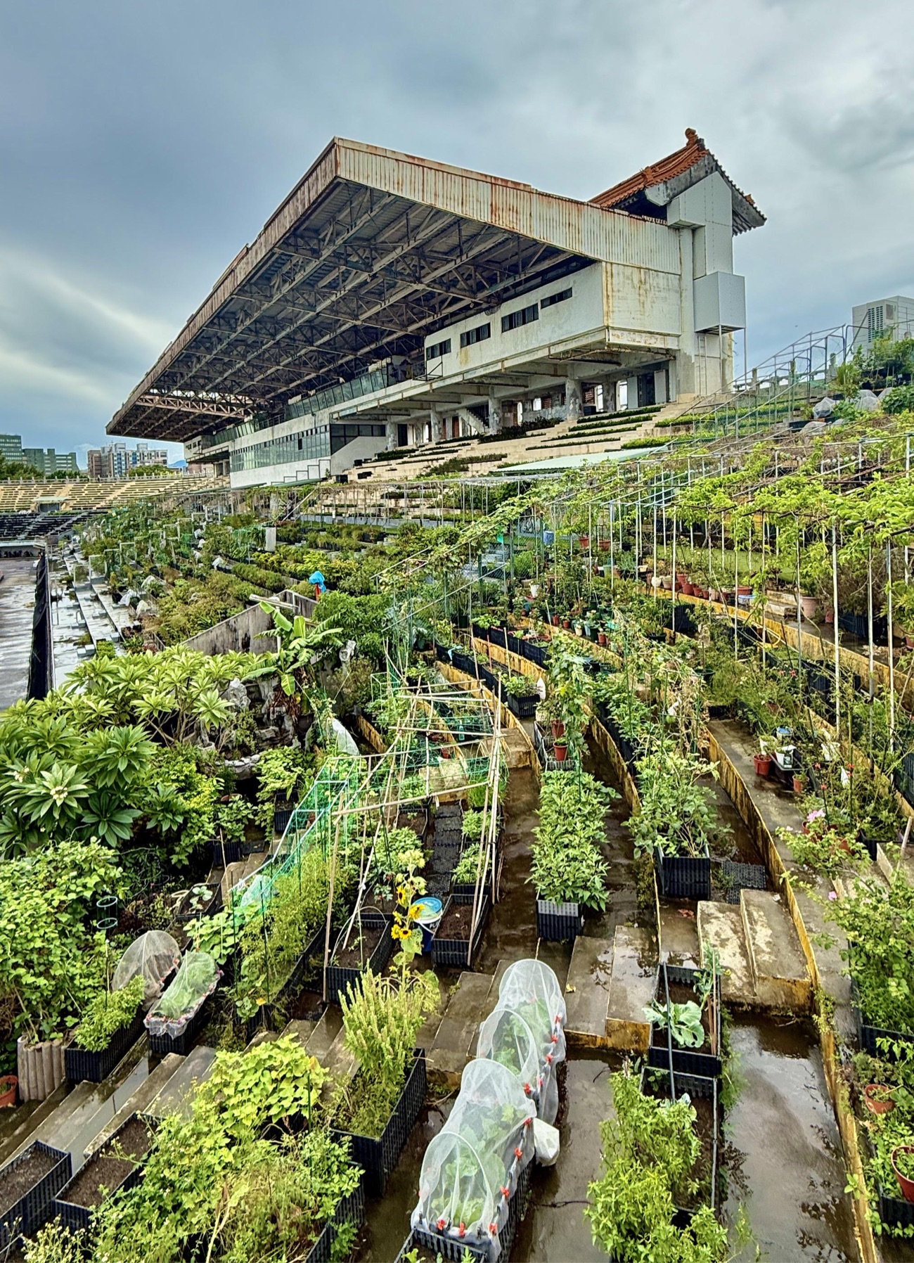 Football Stadium Turned Community Garden