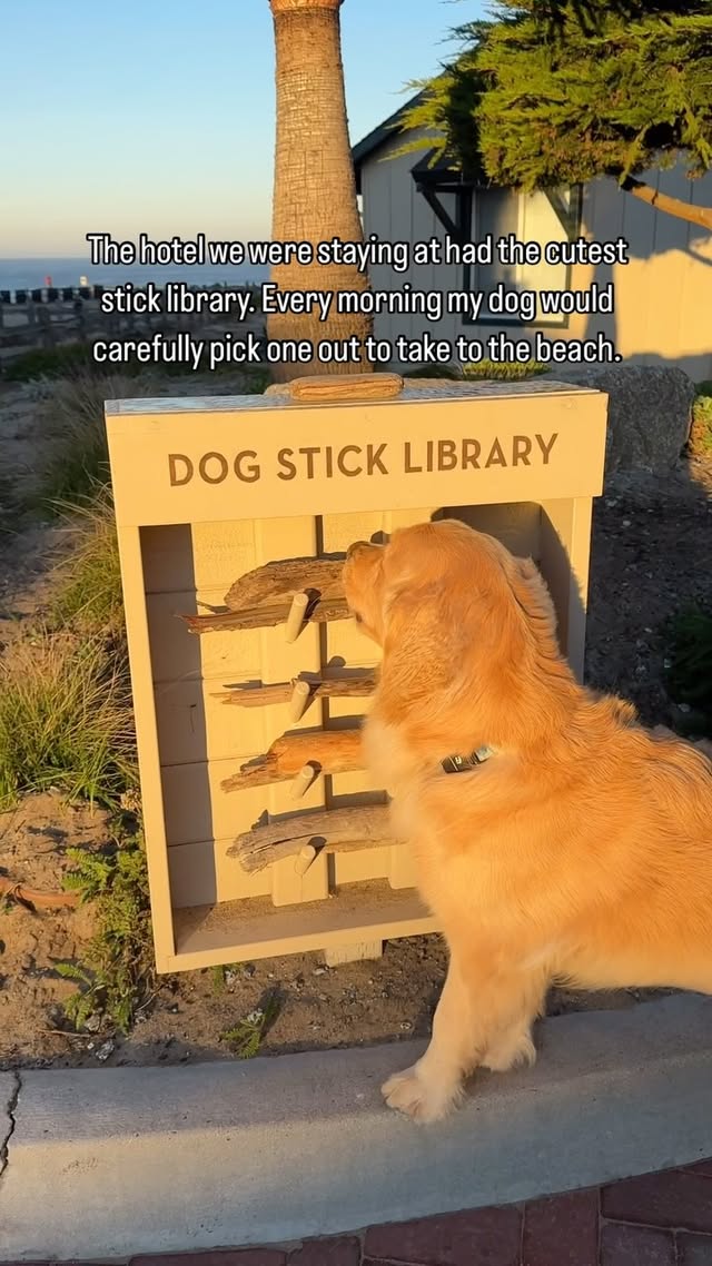 Thumbnail of This hotel in Monterey Bay, CA has a stick library available...