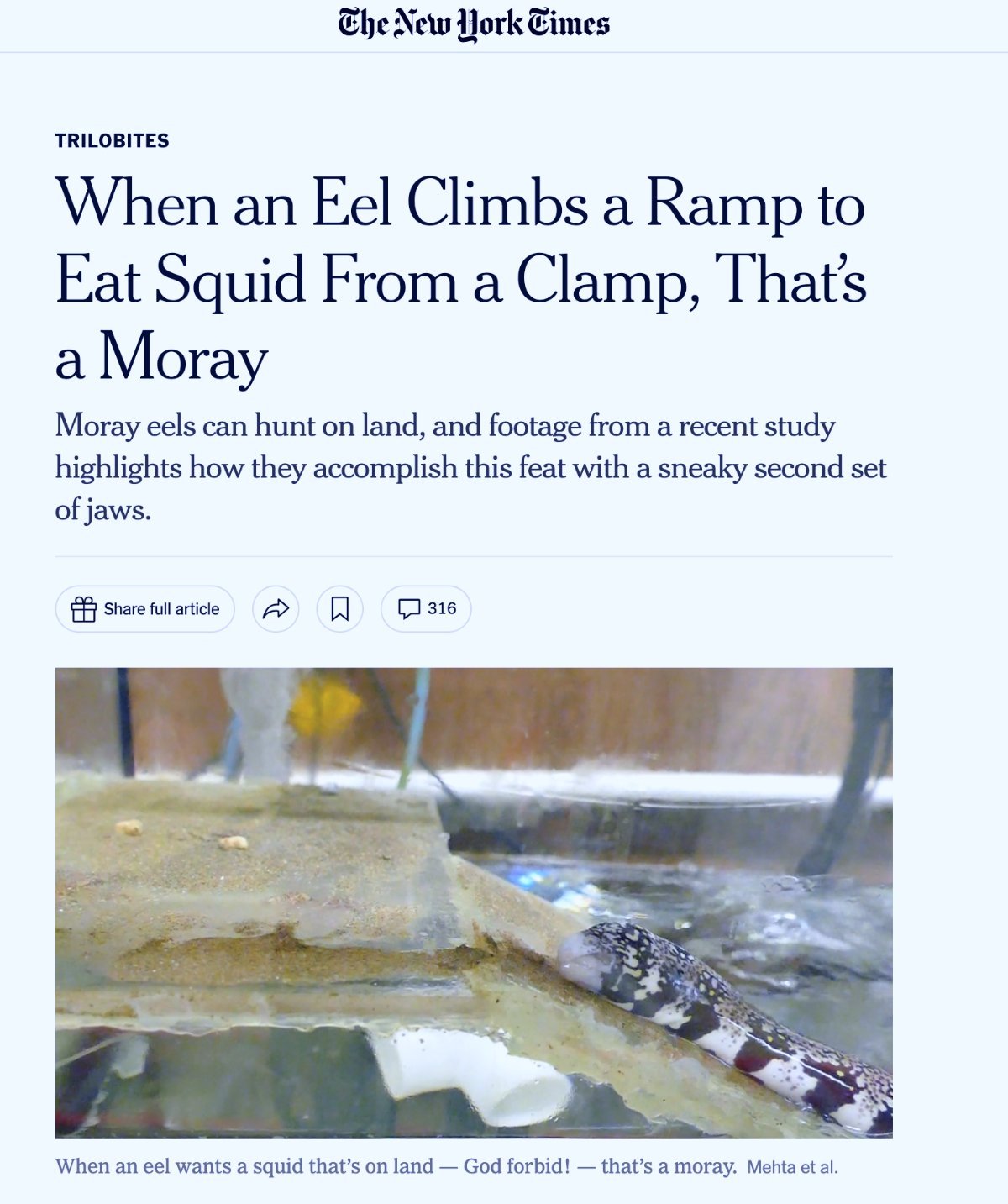 Good headline: Nine Inch Snails.
