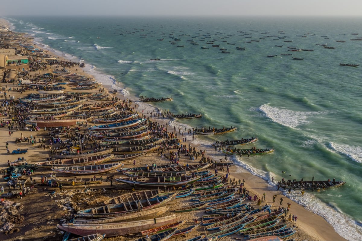 dozens of fishing canoes sit on an ocean shoreline