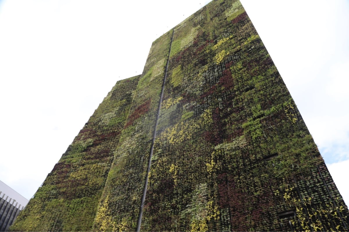 a vertical garden on the side of a building in Medellin