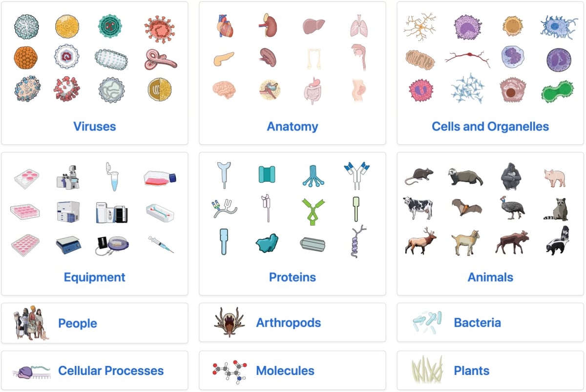 screenshot of the NIH scientific images site that shows thumbnails of the images in categories like viruses, anatomy, and proteins