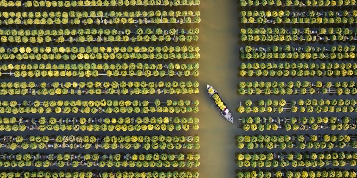 an overhead view of a boat navigating rows of crops