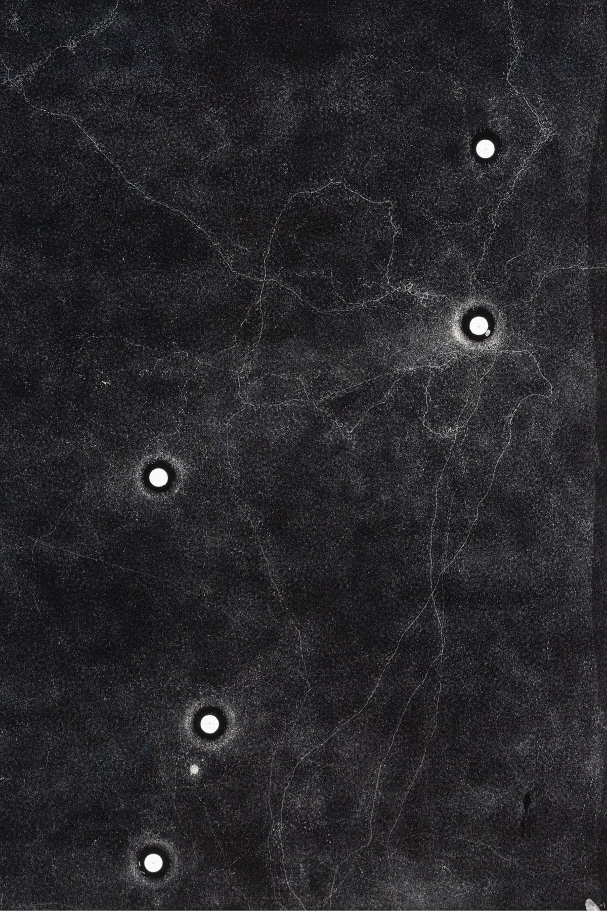 pattern of ant tracks on a black background