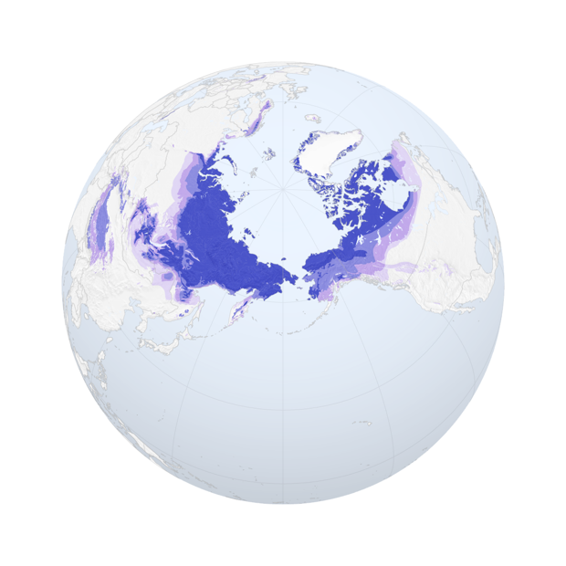 arctic map.png