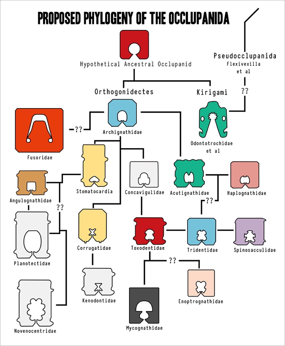 a proposed family tree of plastic bread tags