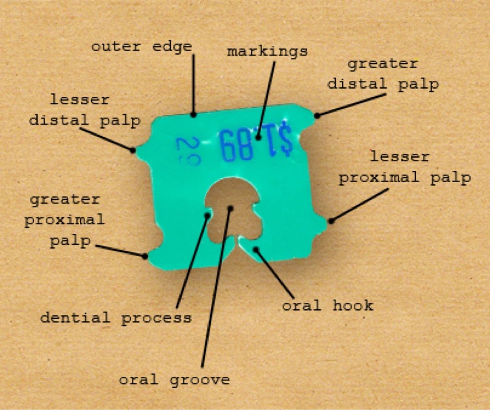 a diagram labeling the parts of a plastic bread tag