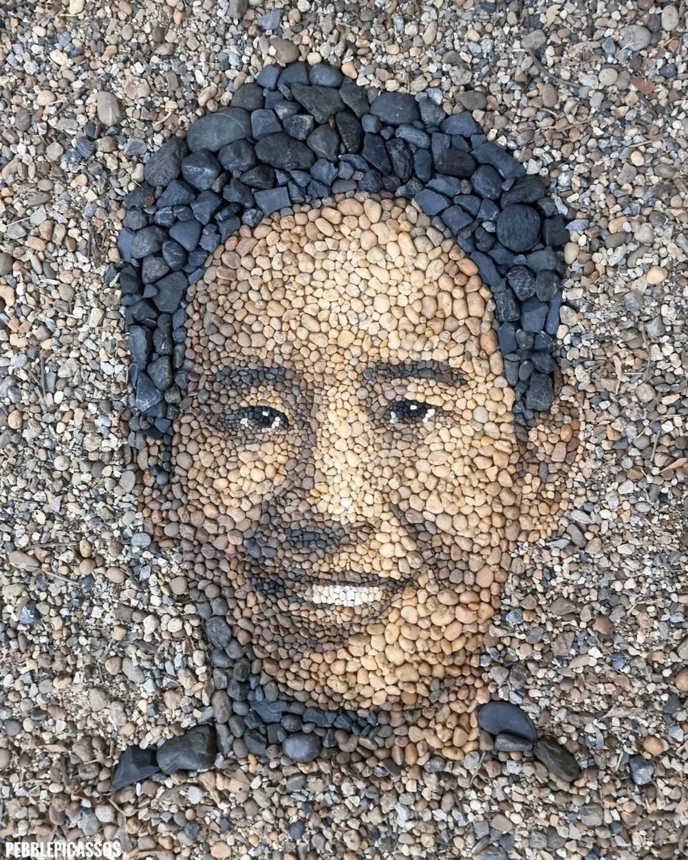 portrait of a man's face made out of pebbles