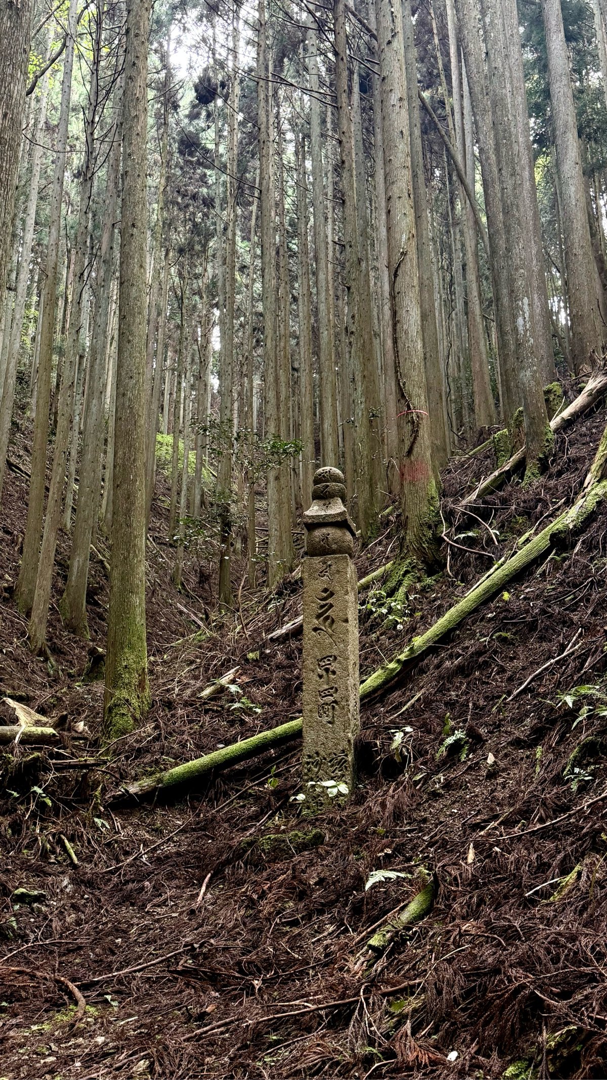 a stone marker standing in a forest