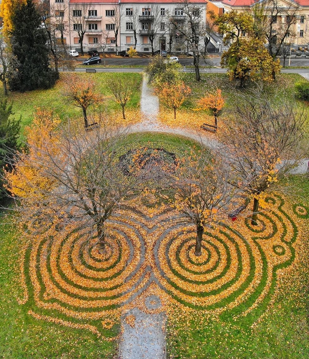 aerial view of a park with leaves raked into geometric patterns