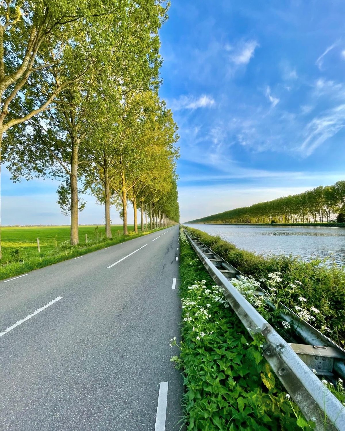 trees, road, sky, and water all meet perfectly in the center of this impossibly geometric photo