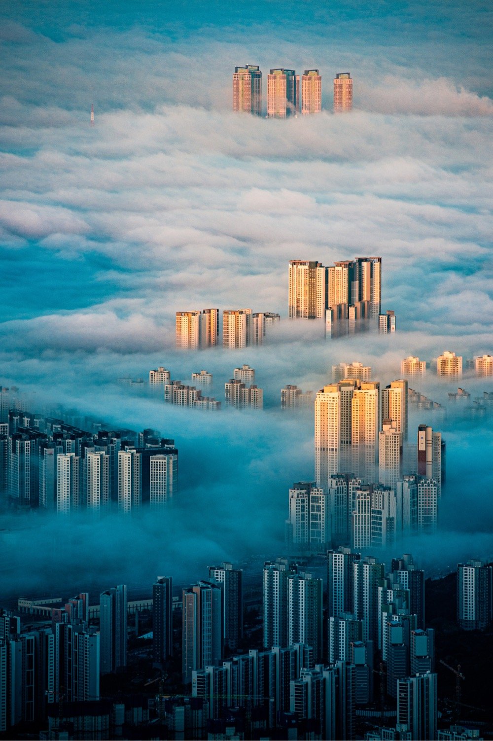 tall buildings rise out of the clouds