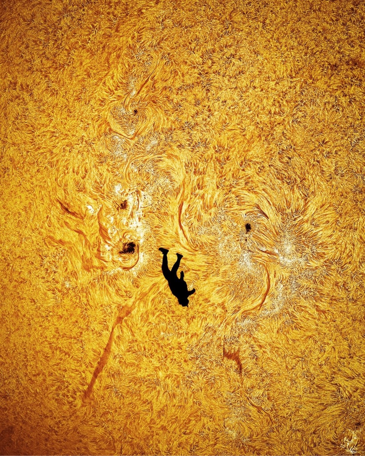 a closeup of a skydiver's silhouette on the sun