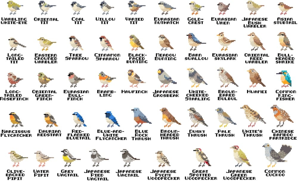 pixel illustrations of a few dozen different birds