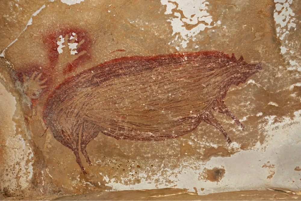 cave painting of a pig