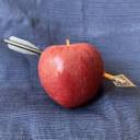 Andrea Pitzer favicon