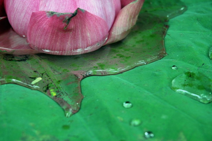 Pink water