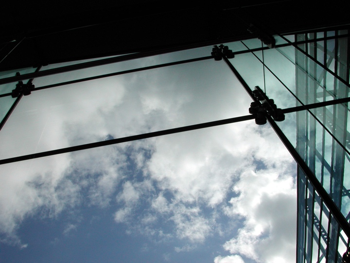 Looking out of the library window