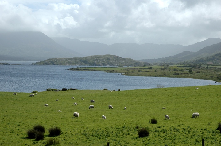 Lough Currane