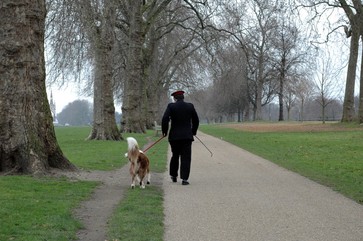 Man walking a dog