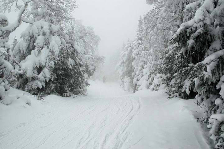 Skiing into the fog