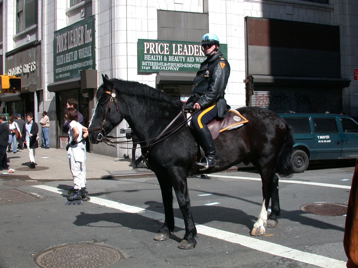 Mounted police