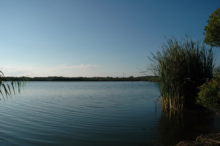 Hummock Pond