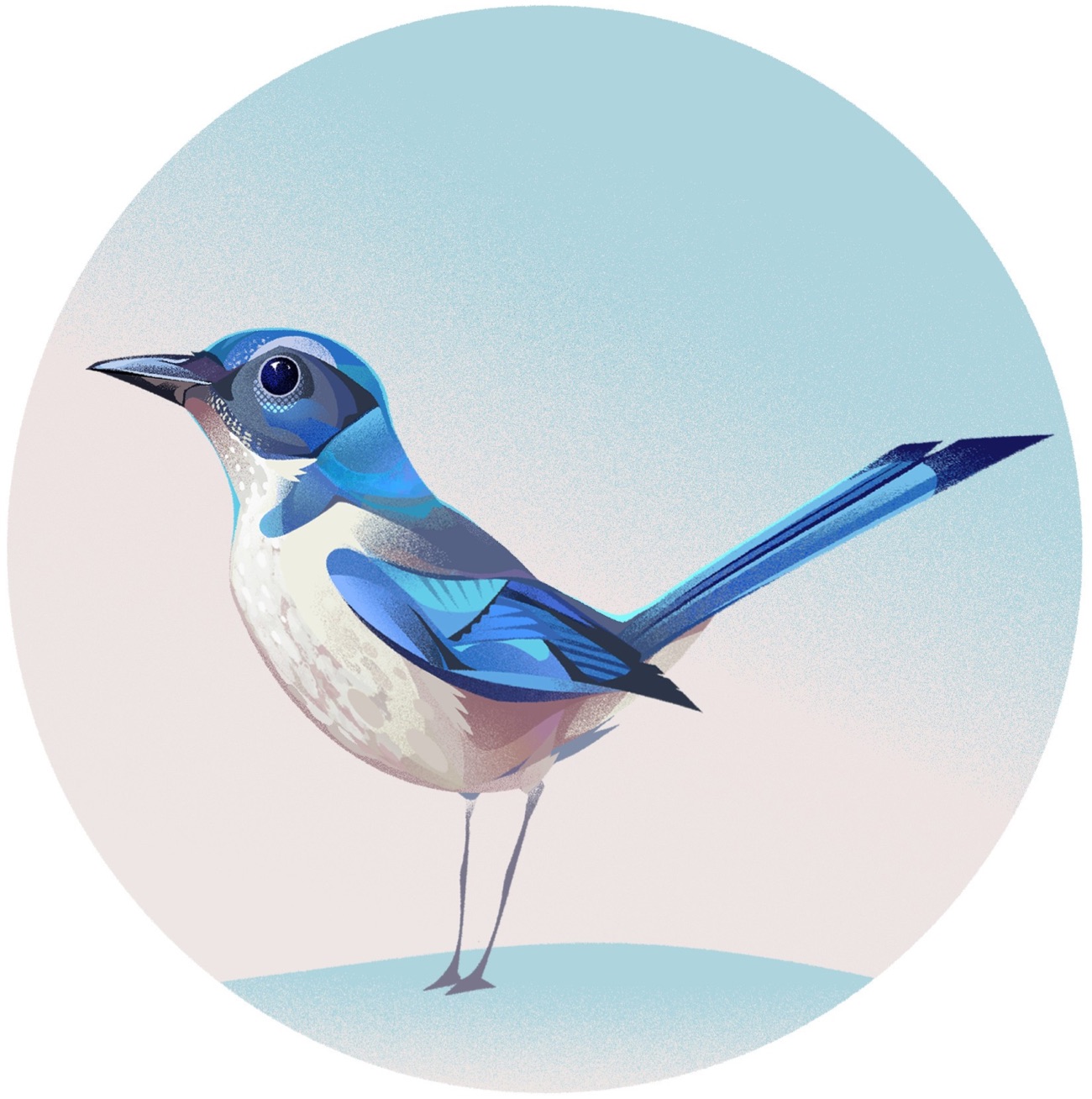 Subtly Geometric Birds