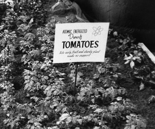 Atomic tomatoes