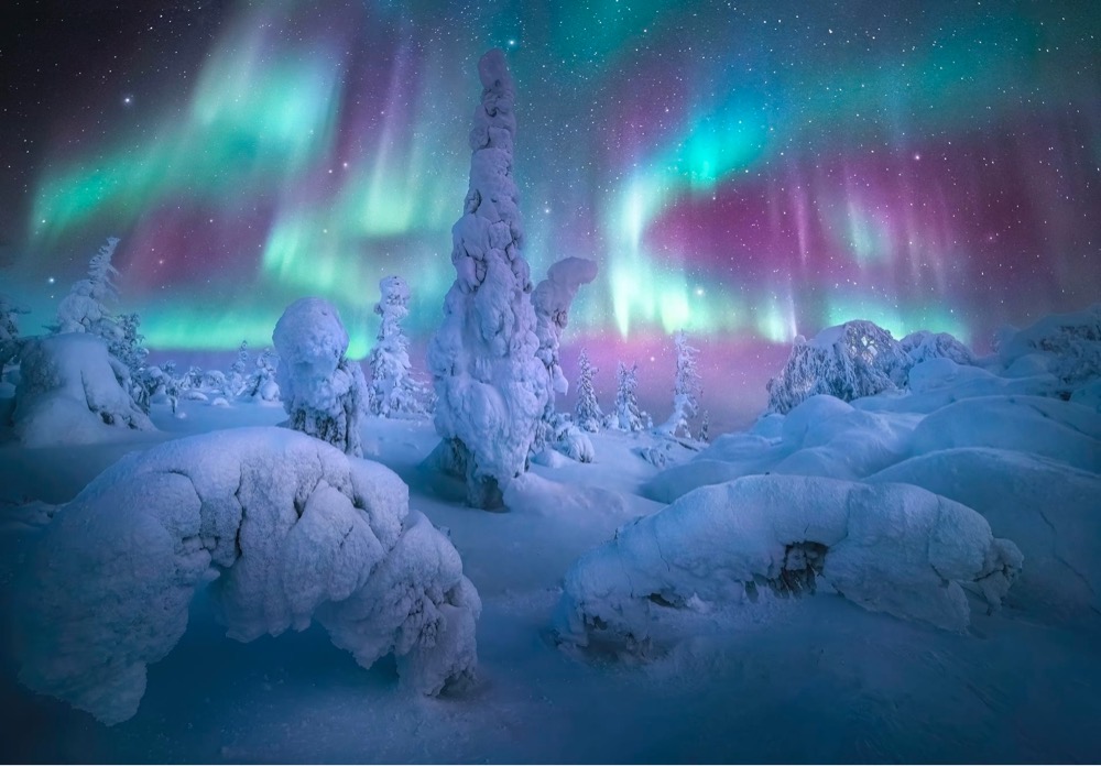 light blue aurora in the sky over a group of snow flocked trees