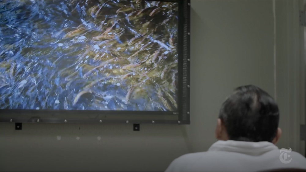a man in prison watches a nature video