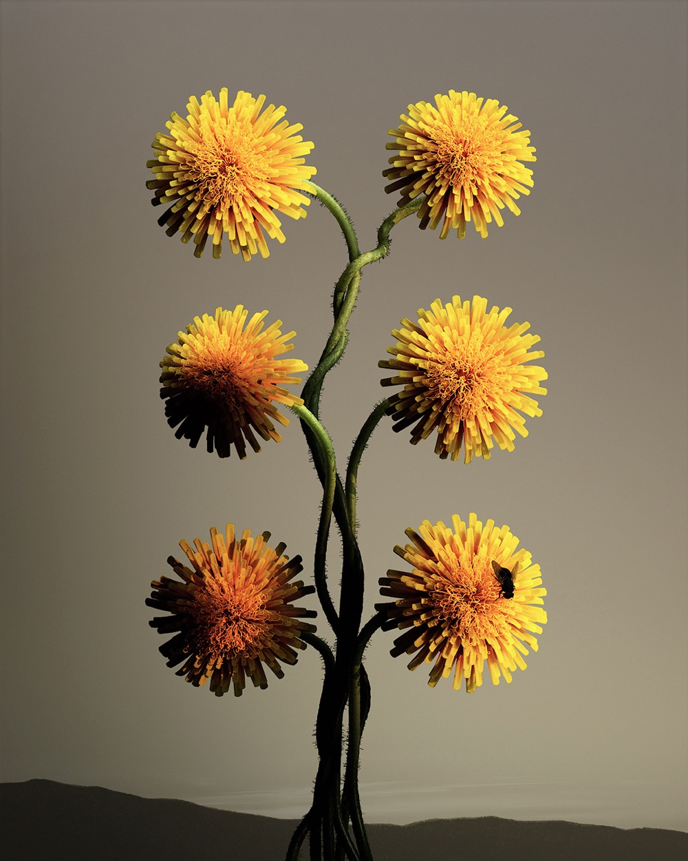digitally conjured flowers
