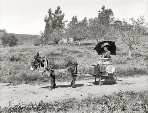 Donkey Car