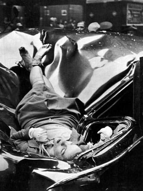 Evelyn Mchale by Robert Wiles