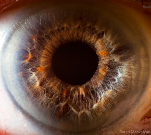 closeup photo of an eye