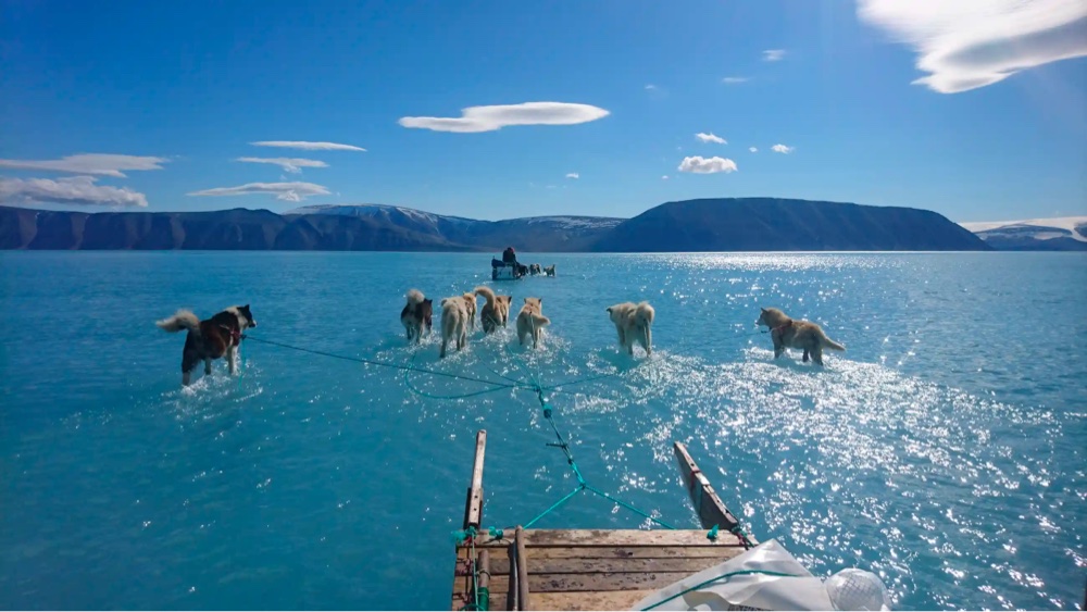 sled dogs pull a sled through water in Greenland