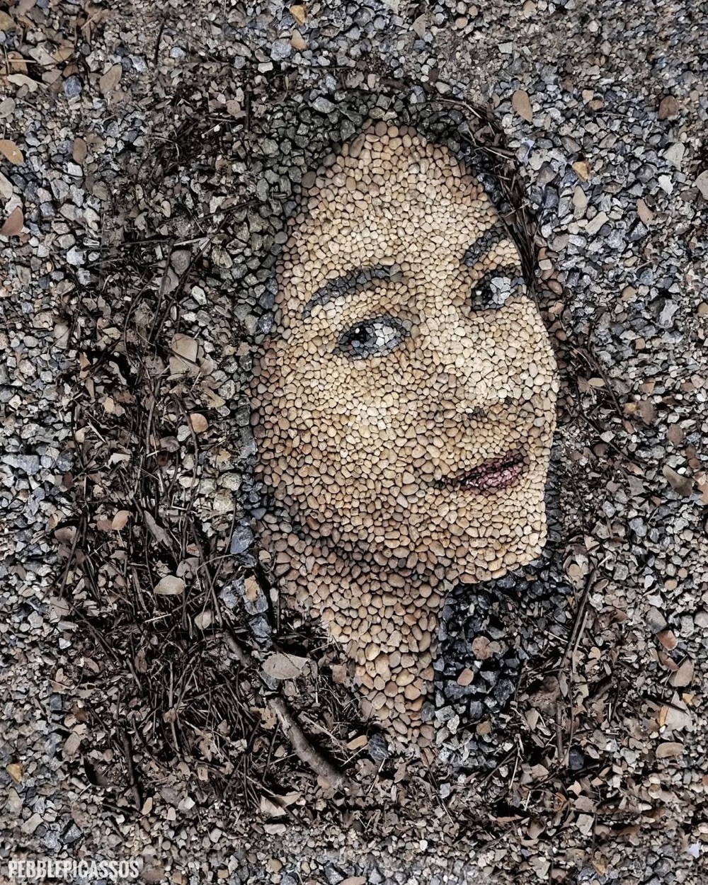 portrait of a woman's face made out of pebbles