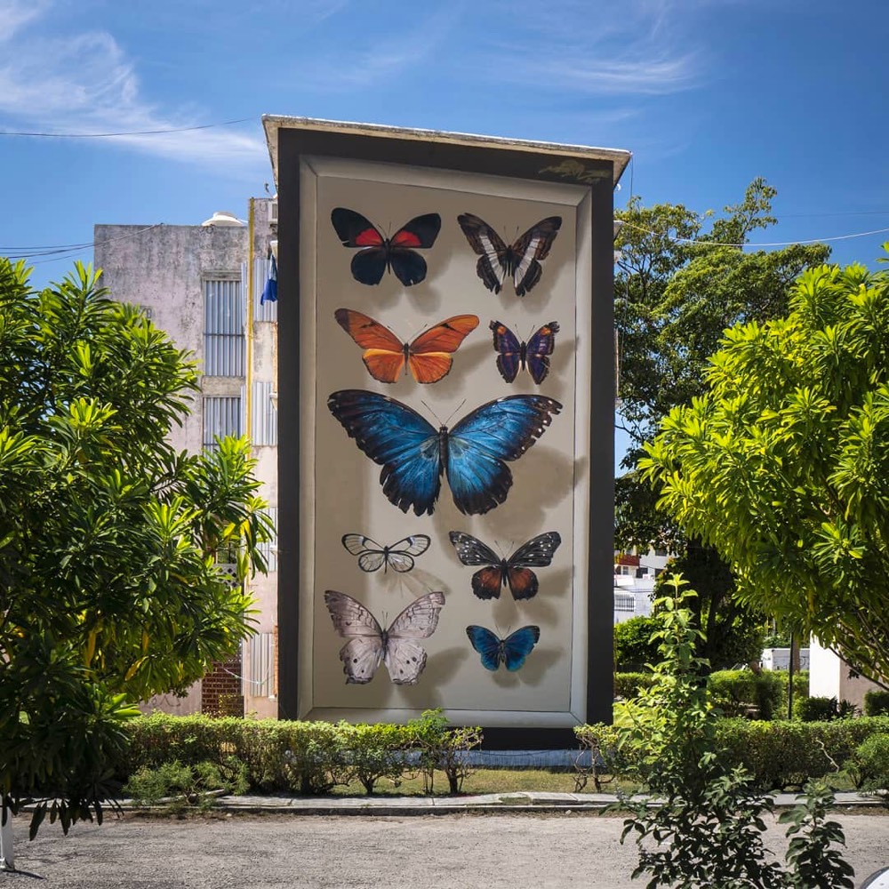 Building-sized mural of butterflies