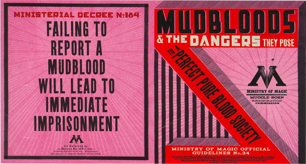 Mudblood Dangers