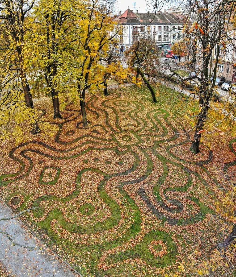 aerial view of a park with leaves raked into geometric patterns
