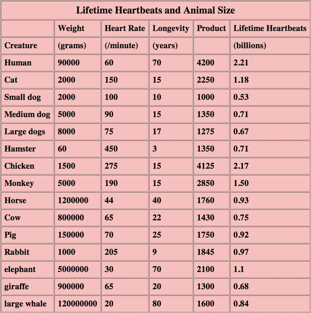 Human Body Pulse Rate Chart