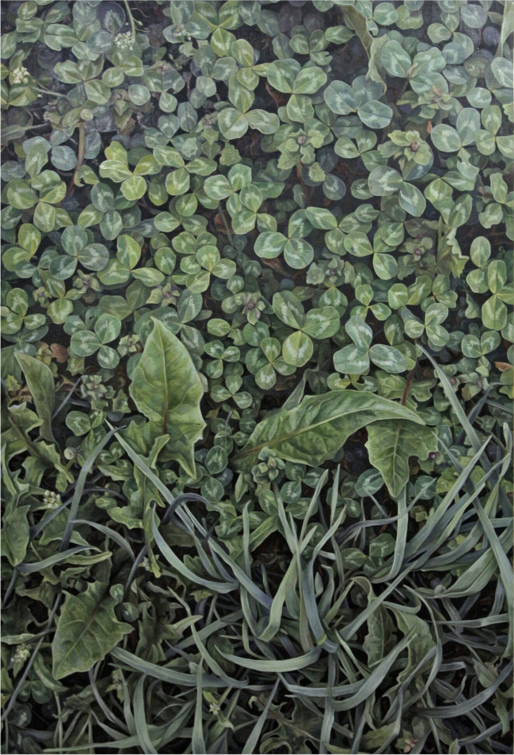 hyperrealistic painting of grasses and leaves