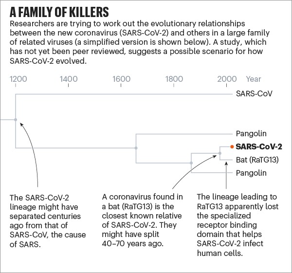 SARS-CoV-2 genetic origin