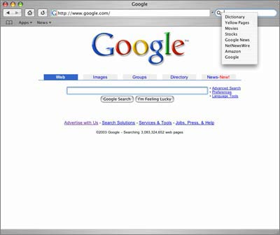 Extending Safari's Google search box